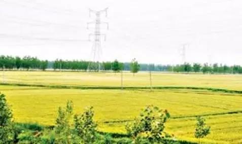 淮南资讯|淮南网正式上线运营