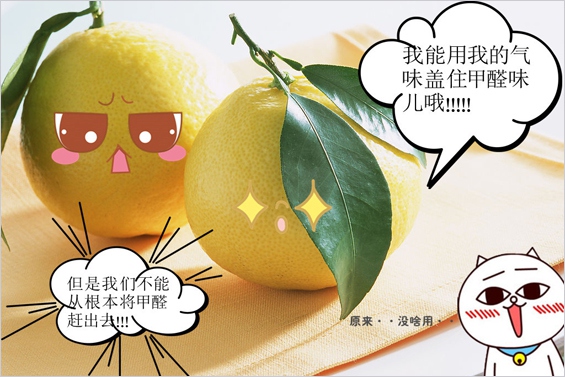 专家的一席良心话，新房这样除甲醛才科学！后悔听信谣言了！