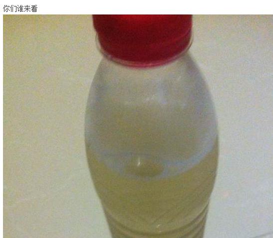 宋茜直播扛起大糖葫芦,宋茜第一次见面吃香菜