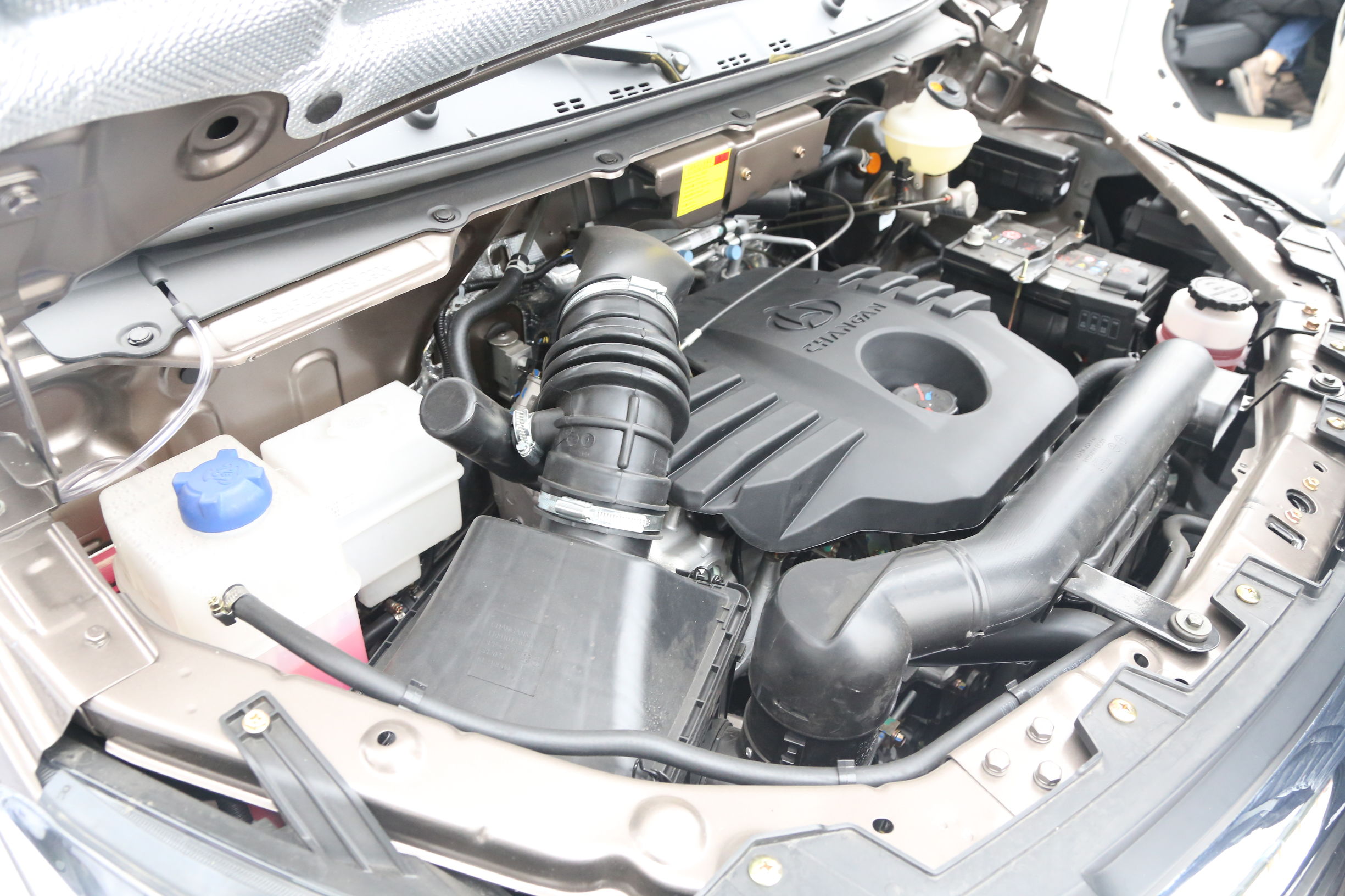 长安神骐最新款柴油版多少钱一辆,生了双胞胎儿子第一天