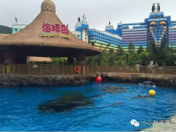 广州长隆动物园一日游攻略,长隆动物园和海洋公园哪个值得去