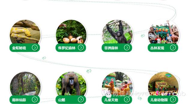 广州旅游攻略长隆野生动物园,广州长隆野生动物园自由行攻略