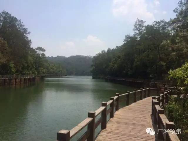 跑步十年分享自己如何坚持跑,跑步不间断法则