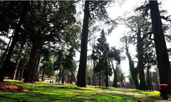 不能更赞：没想到你是这样的邹城