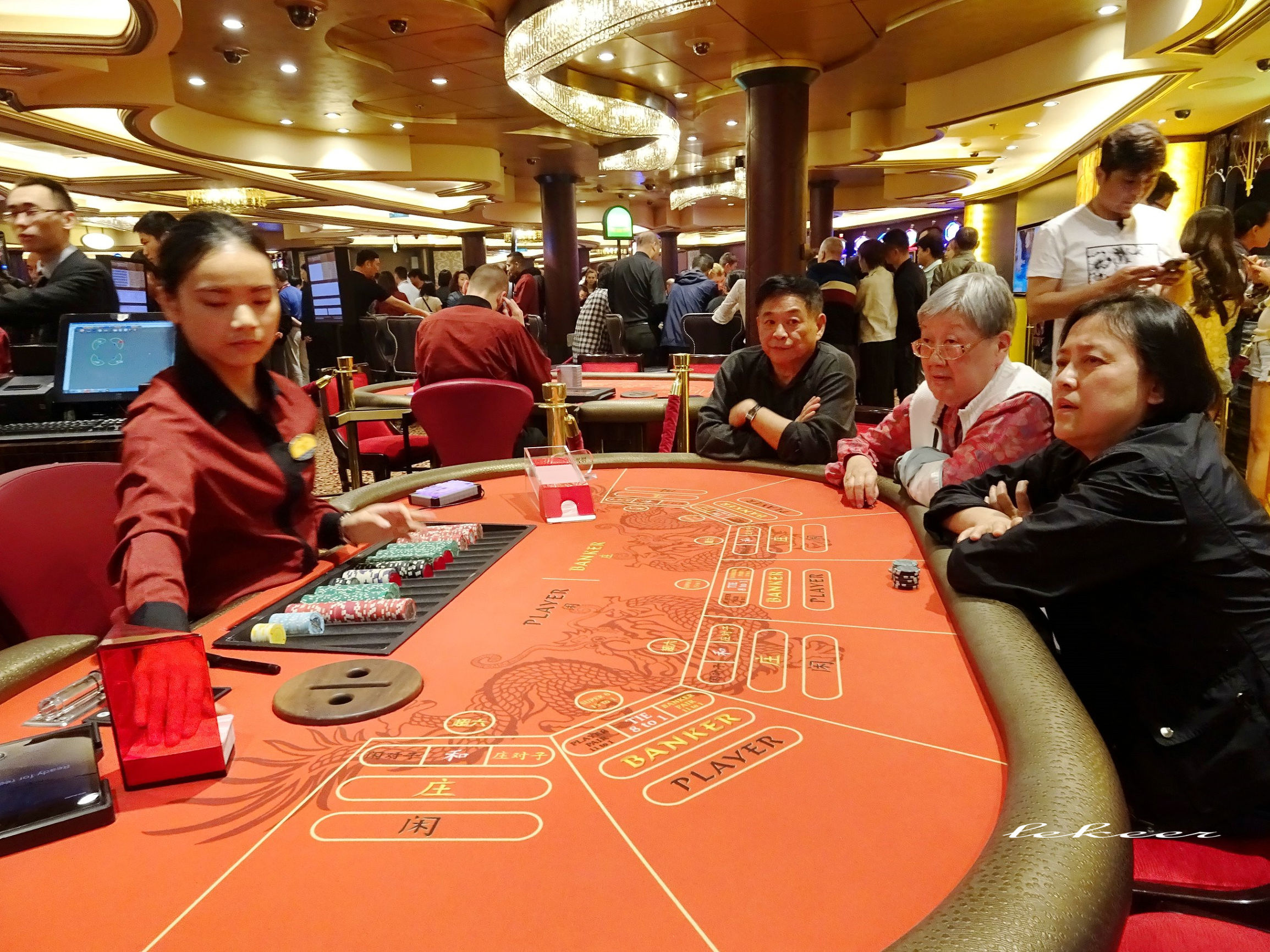 海洋量子号游记,如何乘坐海洋量子号