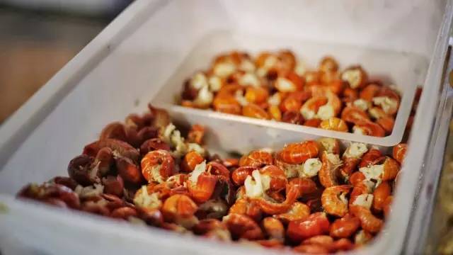 欧洲杯郑州酒馆,郑州喝啤酒看欧洲杯