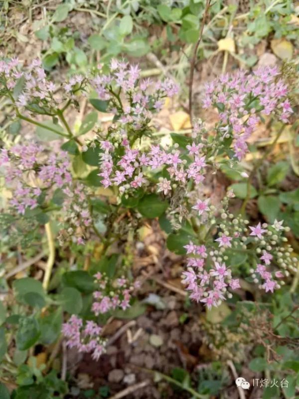 <html>
<head><title>502BadGateway</title></head>
<body>
<center><h1>502BadGateway</h1></center>
<hr><center>nginx</center>
</body>
</html>
<!--apaddingtodisableMSIEandChromefriendlyerrorpage-->
<!--apaddingtodisableMSIEandChromefriendlyerrorpage-->
<!--apaddingtodisableMSIEandChromefriendlyerrorpage-->
<!--apaddingtodisableMSIEandChromefriendlyerrorpage-->
<!--apaddingtodisableMSIEandChromefriendlyerrorpage-->
<!--apaddingtodisableMSIEandChromefriendlyerrorpage-->
