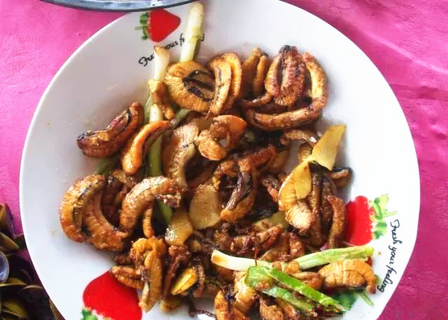 西江明珠石板沙生态岛,江门新会石板沙湿地公园