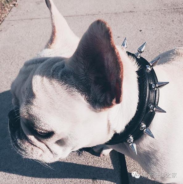 明星都喜欢晒的“克罗心”到底个什么玩意？