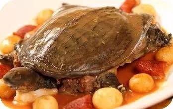 神宗富排三，甲鱼能治癌