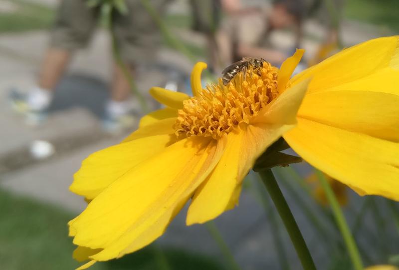 乐视手机2为什么被称为超级手机,乐视2和乐视2pro区别