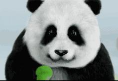 熬夜看欧洲杯养生,熬夜看欧洲杯需要注意什么