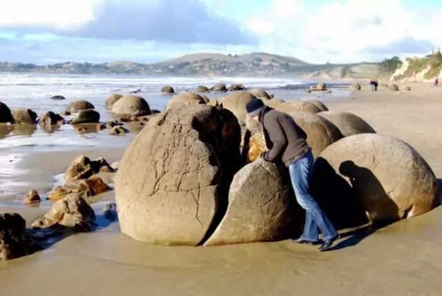 新西兰奇异圆石,摩拉基大圆石龟背形成原因