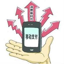 福州四九八科技公司做什么,福州四九八科技有限公司