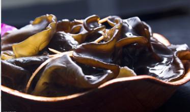 真假木耳形状,真假木耳丝