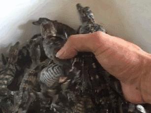 微商朋友圈卖东西赚钱吗,朋友圈的微商真的能赚钱吗