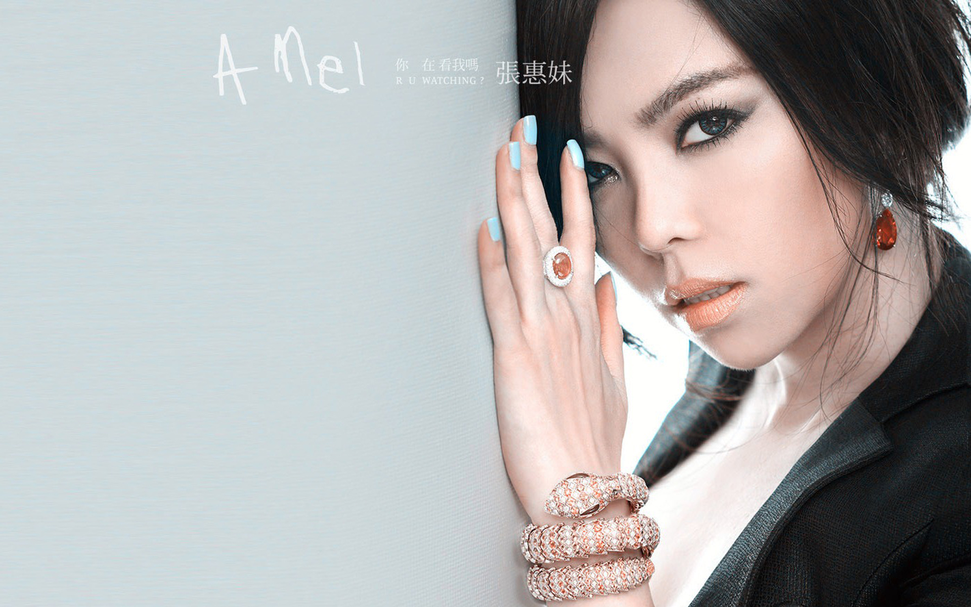 张惠妹作曲人现身舞台,张惠妹听海制作人涂惠源