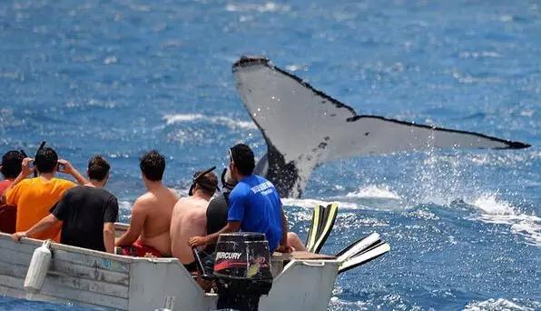 又有一个神秘岛国对中国免签,这个以胖为美的国家,美到极致!