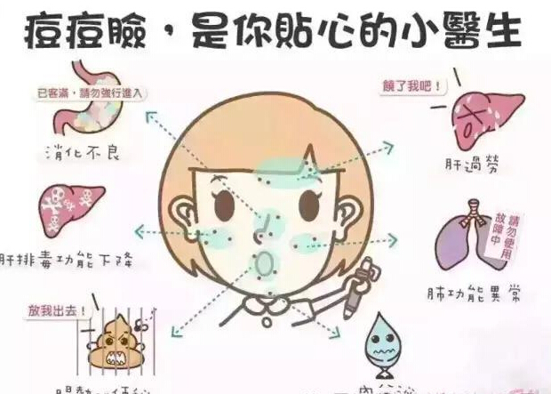 关于你需要了解的青春痘知识,青春痘和痘痘的识别方法