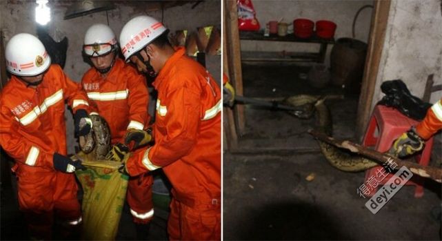 得意武汉|武汉这9家民营医院上黑榜；武汉街头现可充电垃圾箱