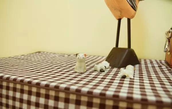 90后妹子花1万元改造出租房 (90后出租房改造图)