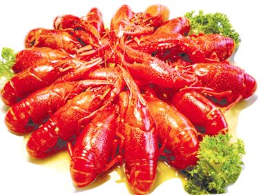 吃货吃虾就要吃最正宗的,关于虾有哪些好吃的小零食