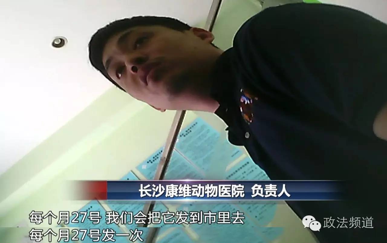 把狗买回家结果有病,购买宠物狗几天就死亡