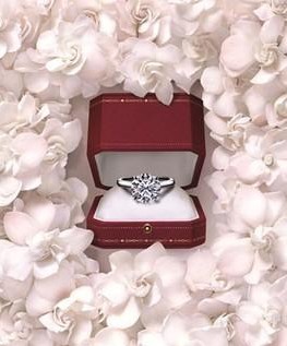 绉佷汉瀹氬埗lv,lv绉佷汉瀹氬埗