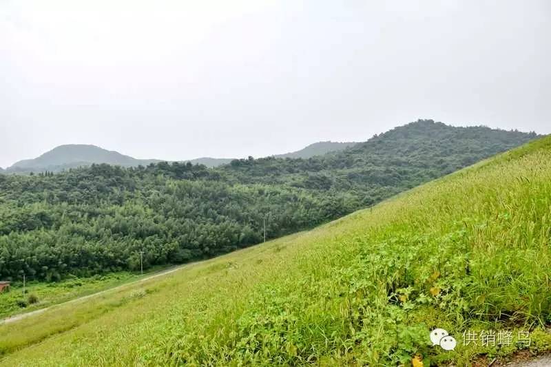 体验夏天农家生活,襄阳值得去的乡村
