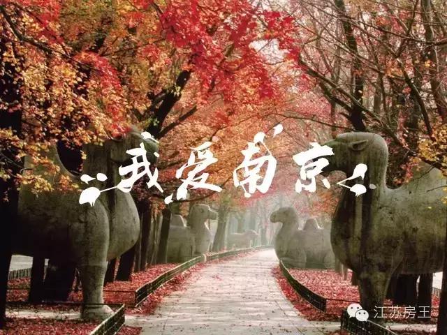 南漂人的辛酸,南漂打工的真实感言