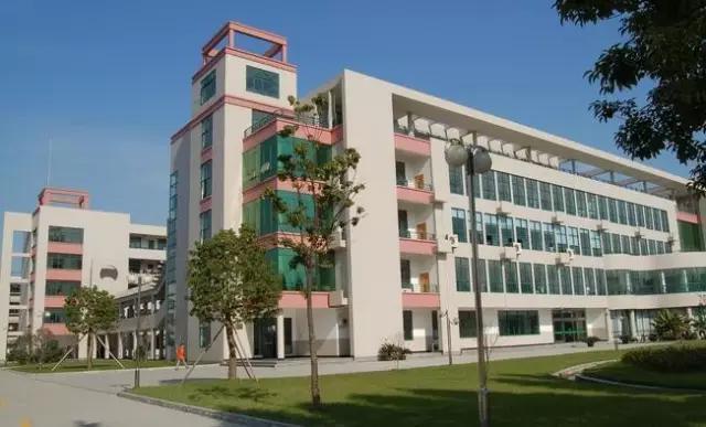 2020浙江富阳状元第一名,富阳中学2013状元