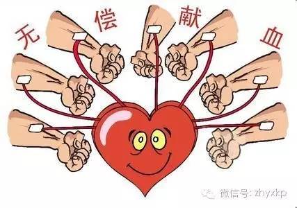 血液相连,献血基础知识大全