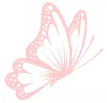 苏联初恋,伊萨克巴别尔莫泊桑