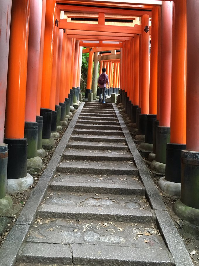 年假连端午，二次进日，关西8日游：京都、岚山（嵯峨野观光小火车、岚电）、奈良、环球影城