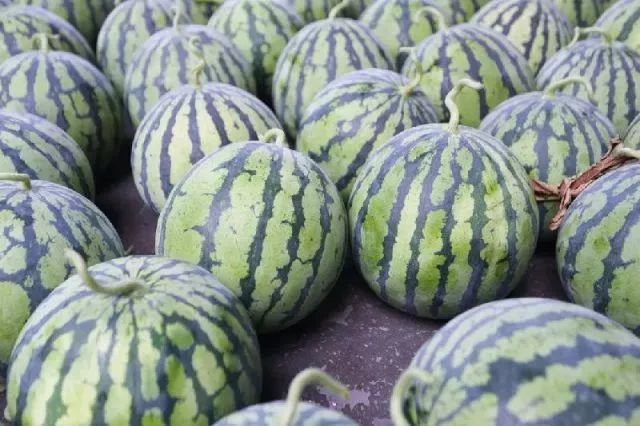 全国各地水果上市地区一览表,现在大量上市的瓜果