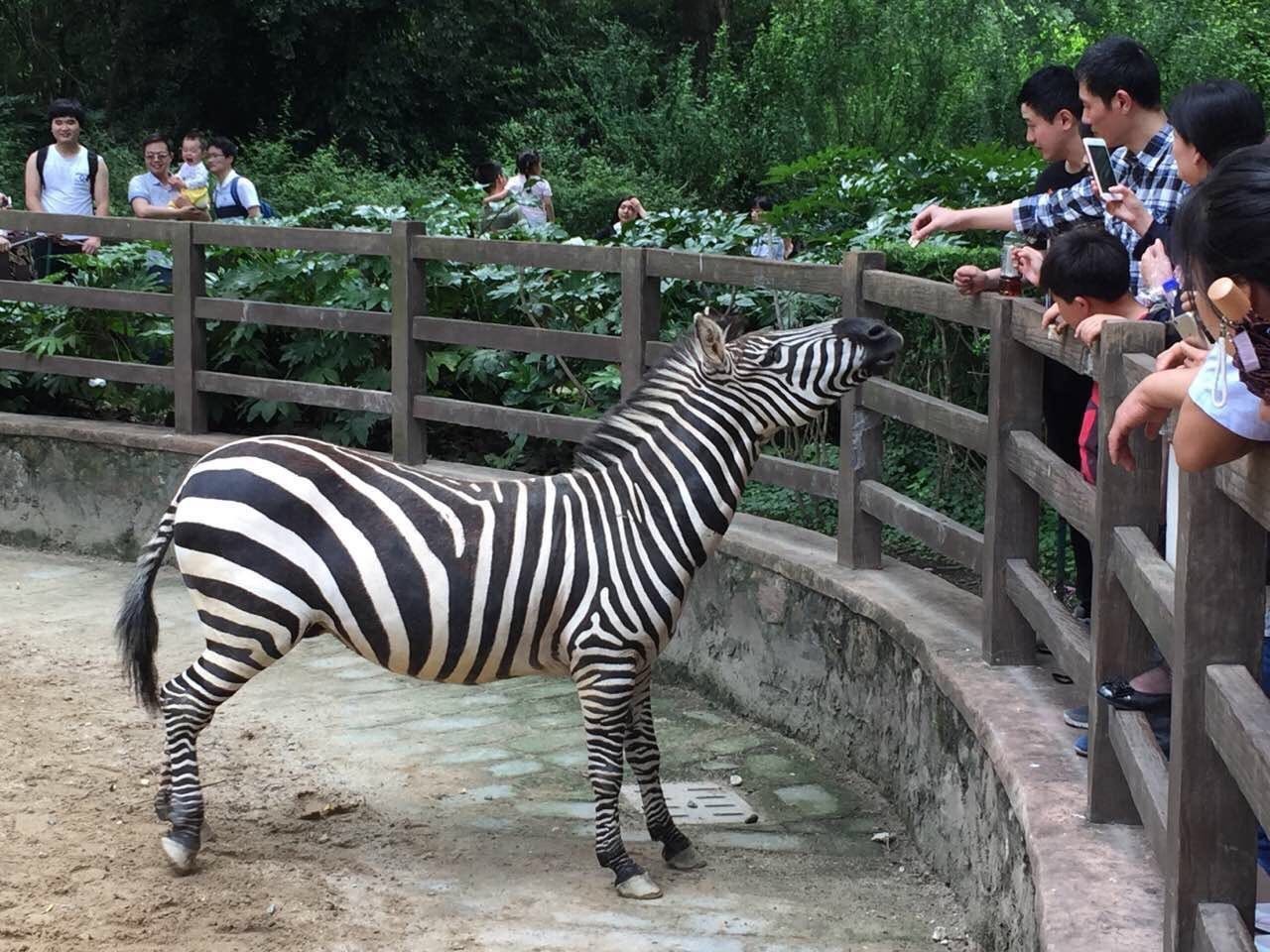 小财的直播间,小财直播录屏