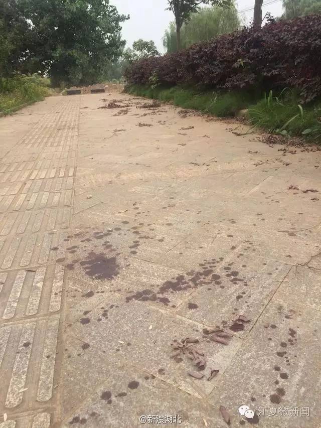 女子被塞进行李箱被救,女子被塞行李箱