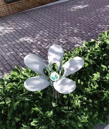 宝山浪漫樱花路图片,宝山樱花路