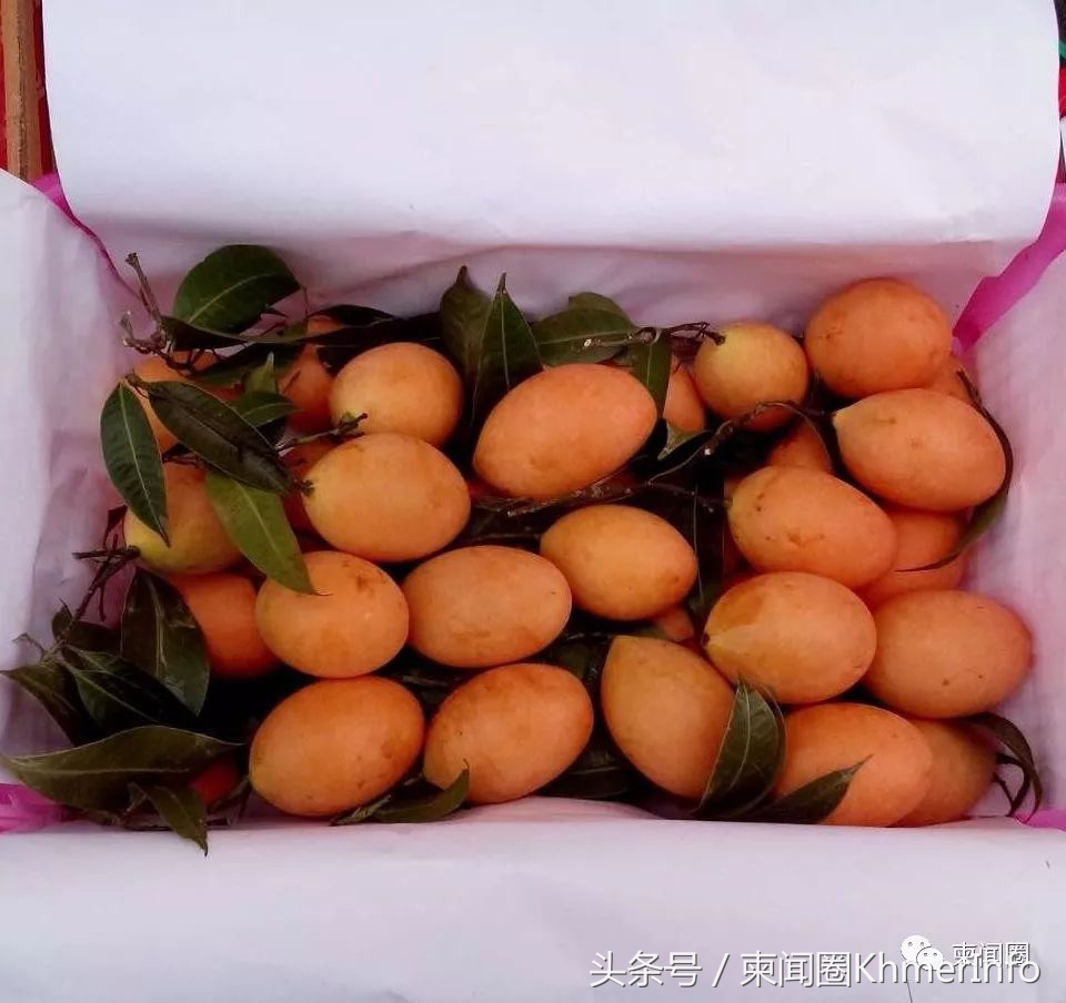 柬埔寨热带水果怎么挑选,柬埔寨哪几种水果好吃又便宜