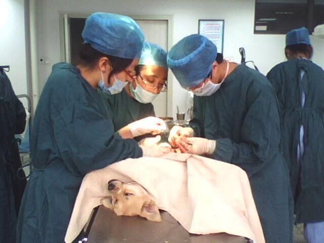 医学生毕业了是什么身份,医学生毕业不做医生可以干什么