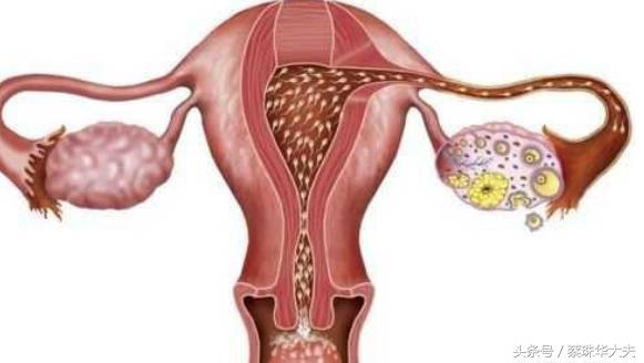 怀孕期间吃优甲乐对胎儿有影响吗,服用避孕药物怀孕对胎儿有影响吗