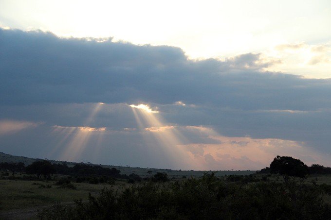 12天肯尼亚动物大迁徙自驾之旅,肯尼亚动物旅行