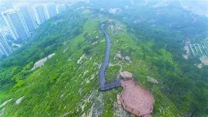 青岛浮山生态园图片,浮山生态公园现状