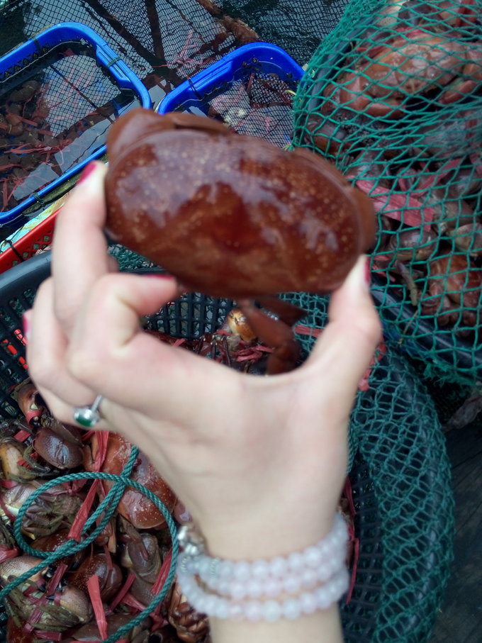 跟团从南宁到北海,越南北海跟团游