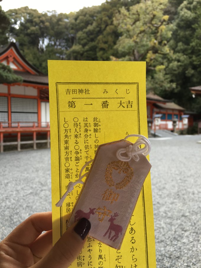 16年,关西(大阪,奈良,京都,宇治)樱花,甲子园