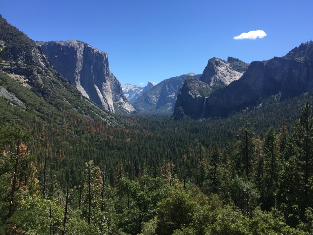 美国自驾游租车价格,在美国租车自驾游在哪宿营安全