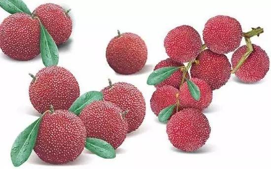 夏天必吃的九大水果,美容养颜的4大水果