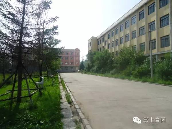 青冈一中中考,青冈一中和八中比较