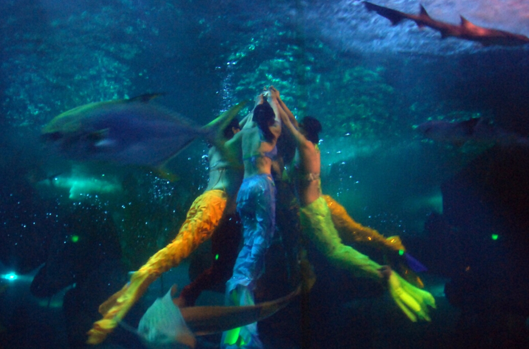 无锡夏天避暑,大热天无锡哪里避暑