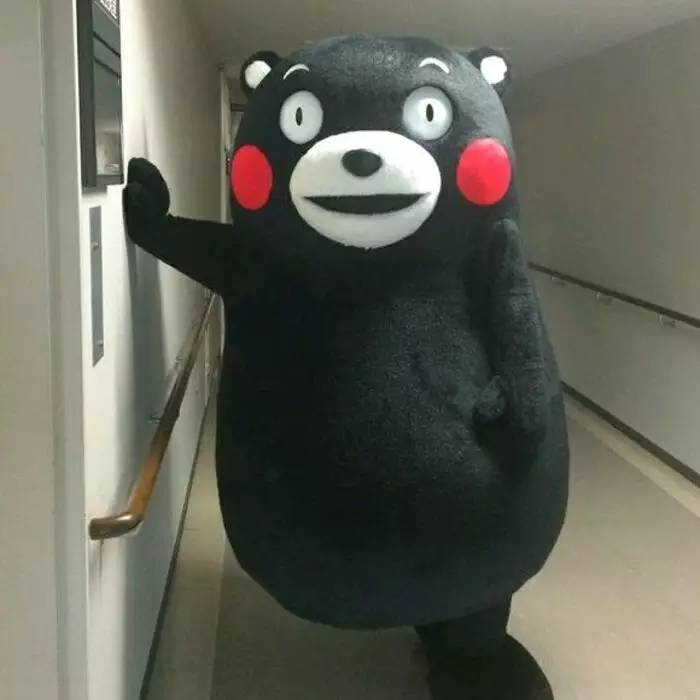 一只有钱的熊生赢家！